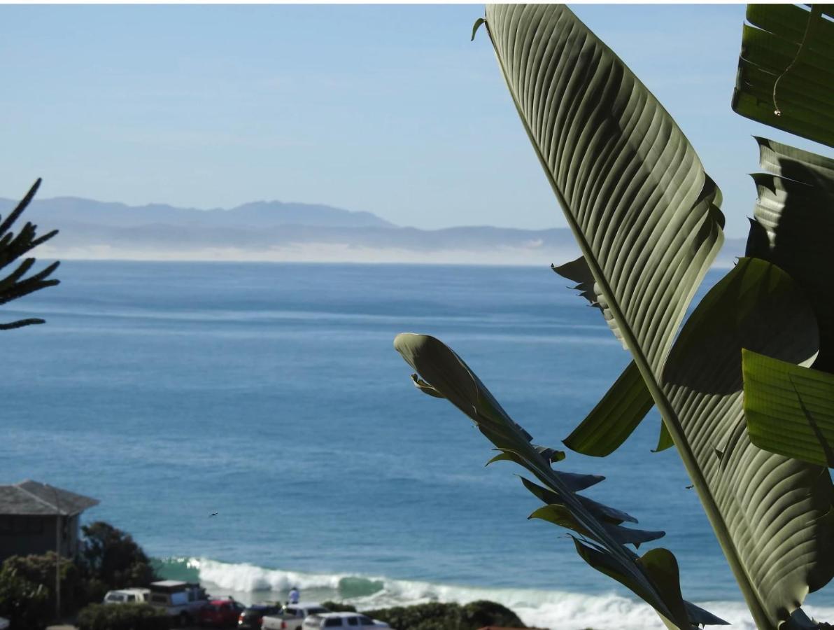 Surfstar At Mimosa Jeffreys Bay Exterior foto
