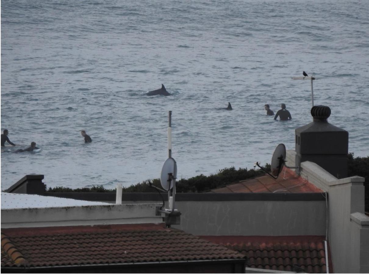 Surfstar At Mimosa Jeffreys Bay Exterior foto