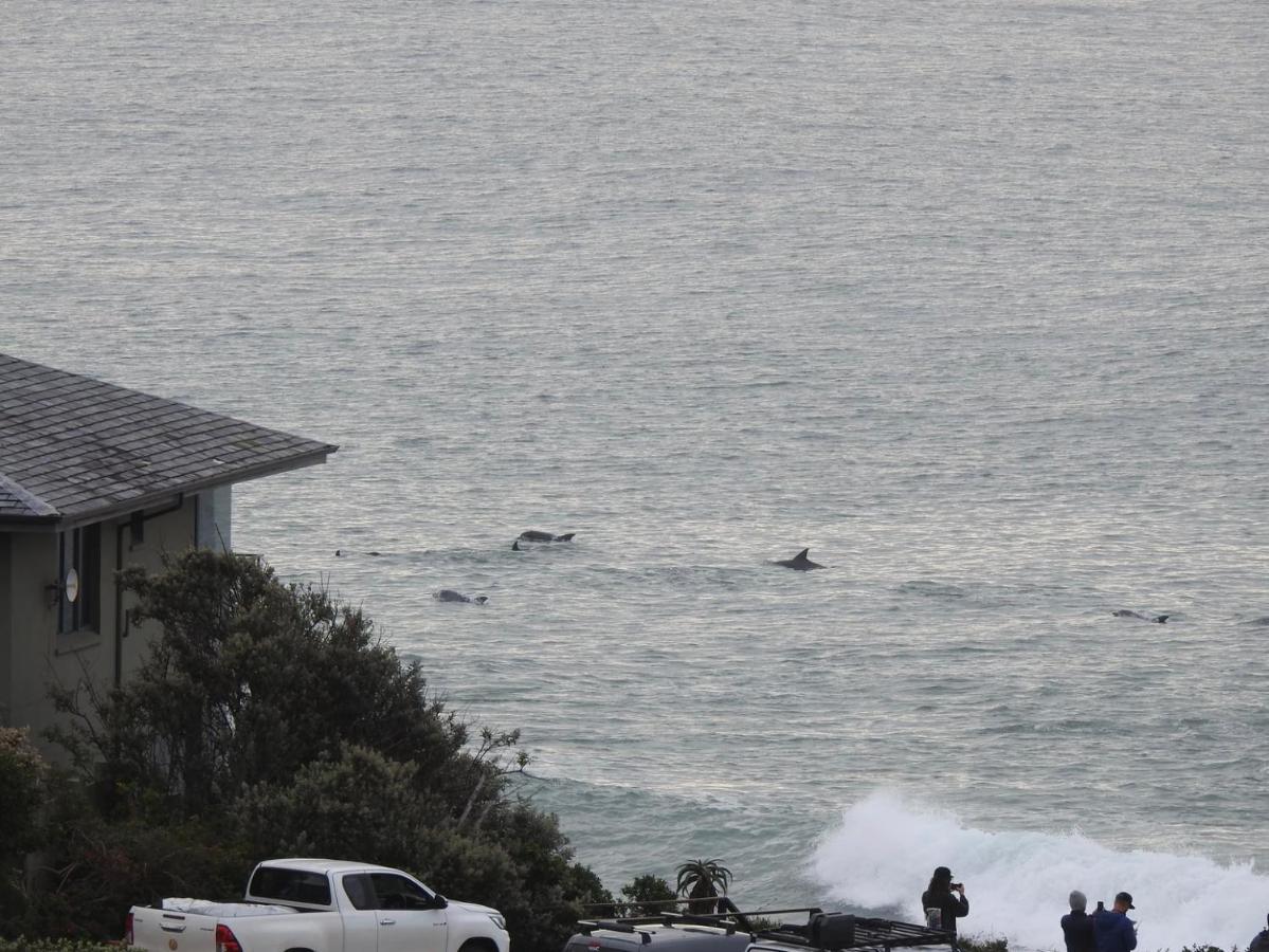 Surfstar At Mimosa Jeffreys Bay Exterior foto