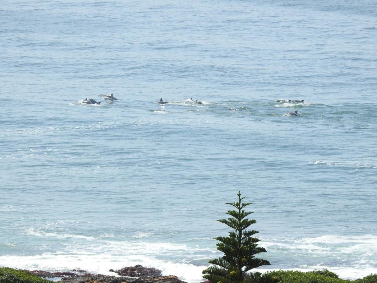 Surfstar At Mimosa Jeffreys Bay Exterior foto