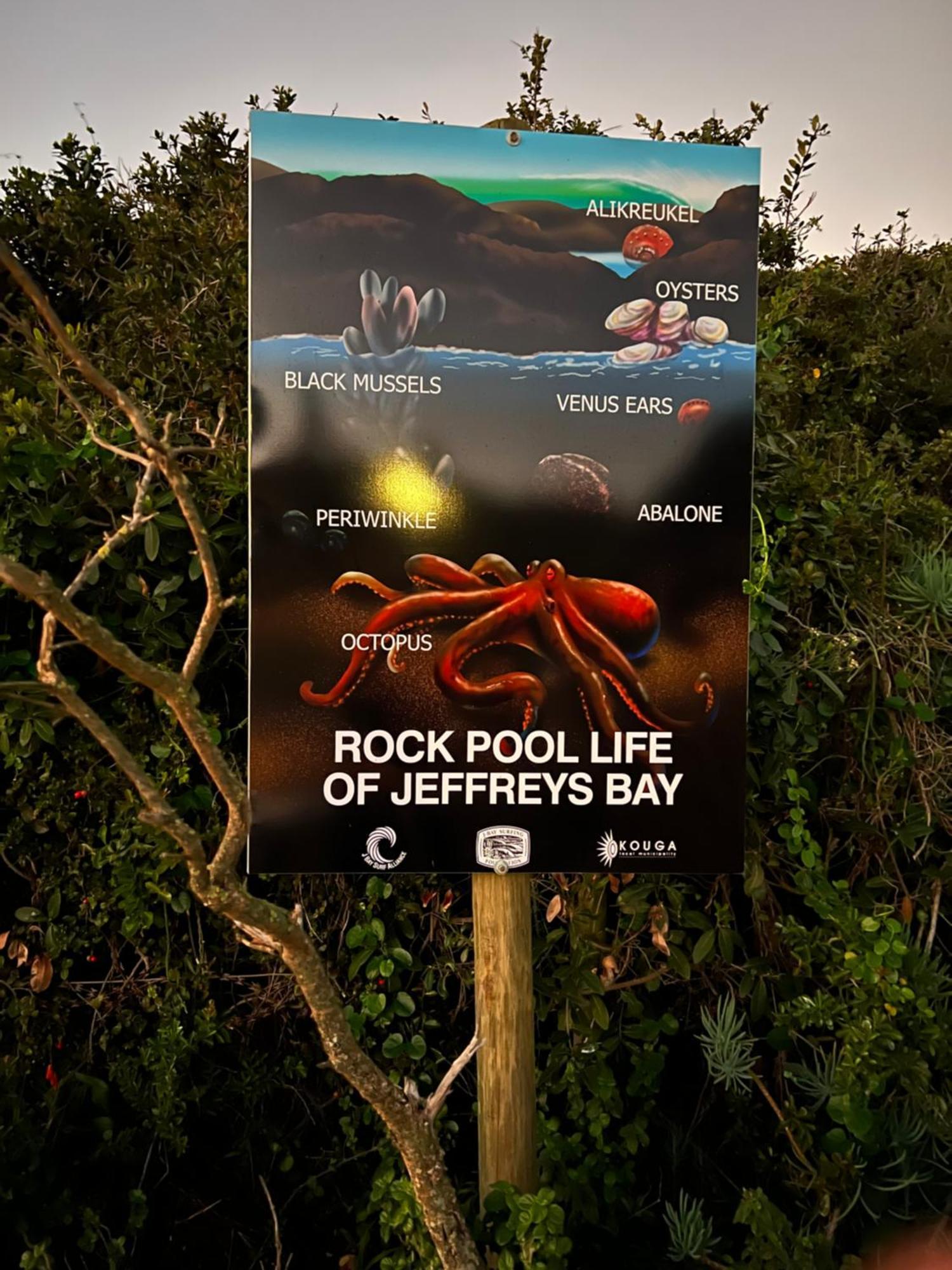 Surfstar At Mimosa Jeffreys Bay Exterior foto