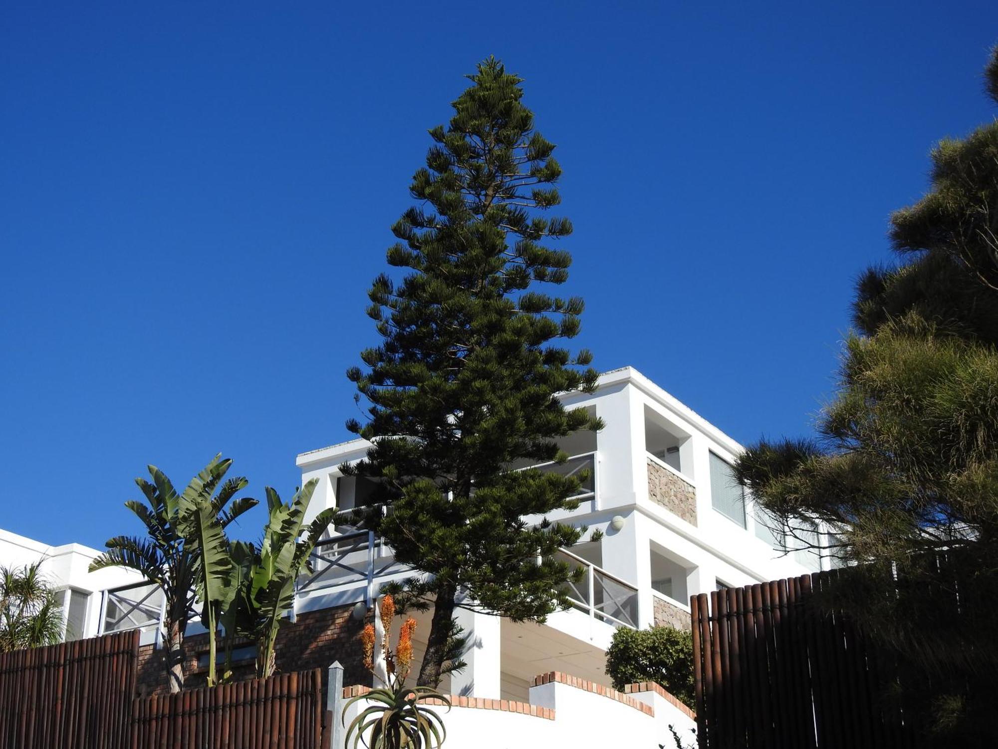 Surfstar At Mimosa Jeffreys Bay Exterior foto